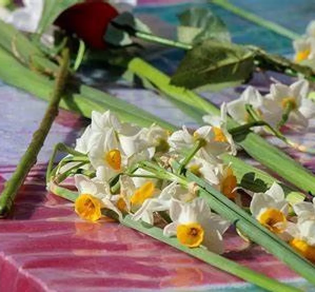 تشییع پیکر شهید گمنام در تربتجام