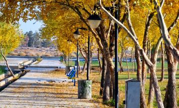 خودنمایی پاییز رنگارنگ در سرخس