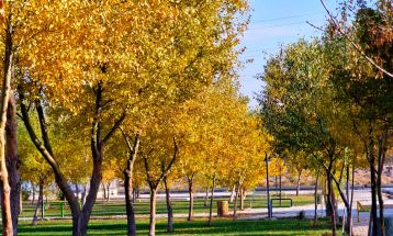 خودنمایی پاییز رنگارنگ در سرخس