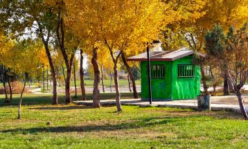 خودنمایی پاییز رنگارنگ در سرخس