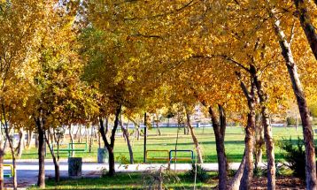 خودنمایی پاییز رنگارنگ در سرخس