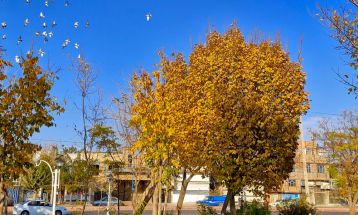 خودنمایی پاییز رنگارنگ در سرخس