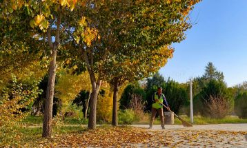 خودنمایی پاییز رنگارنگ در سرخس