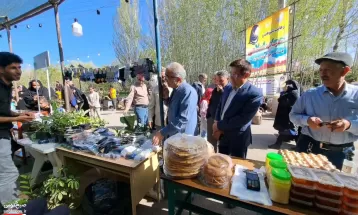 چهارمین جشنواره ریواس و سبزی‌های بومی در کوهسرخ
