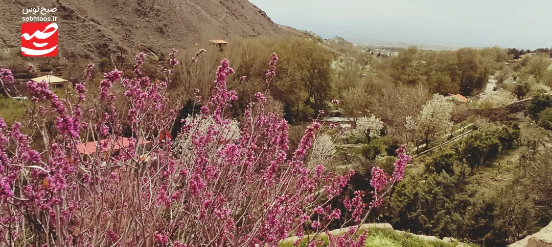 طبیعت بهاری و زیبای شهر دررودِ نیشابور بزرگ