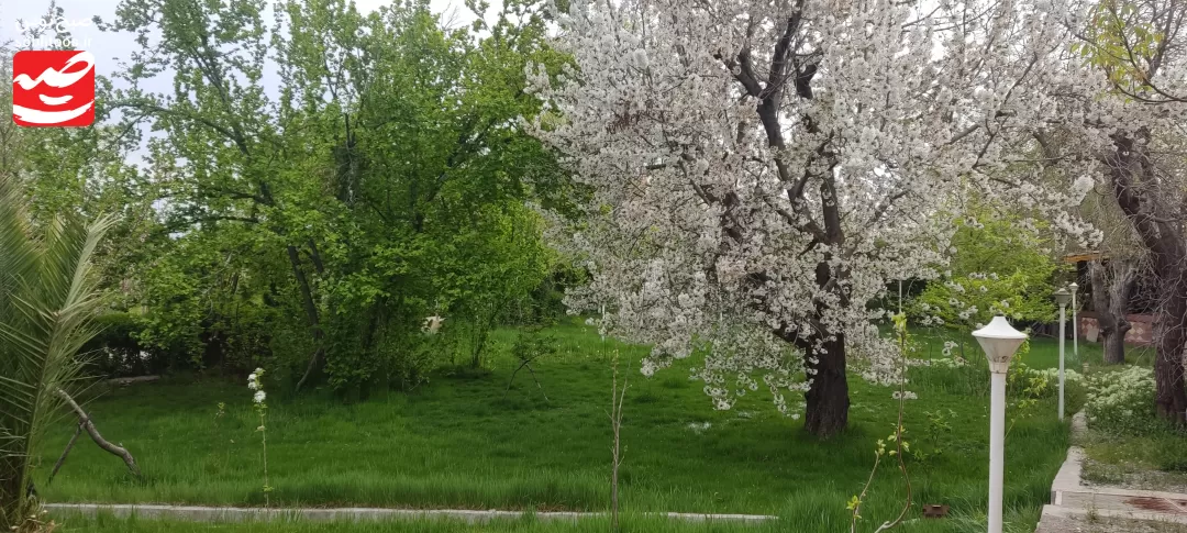 طبیعت بهاری و زیبای شهر دررودِ نیشابور بزرگ