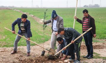 اجرای موفق طرح کمربند سبز در نیشابور