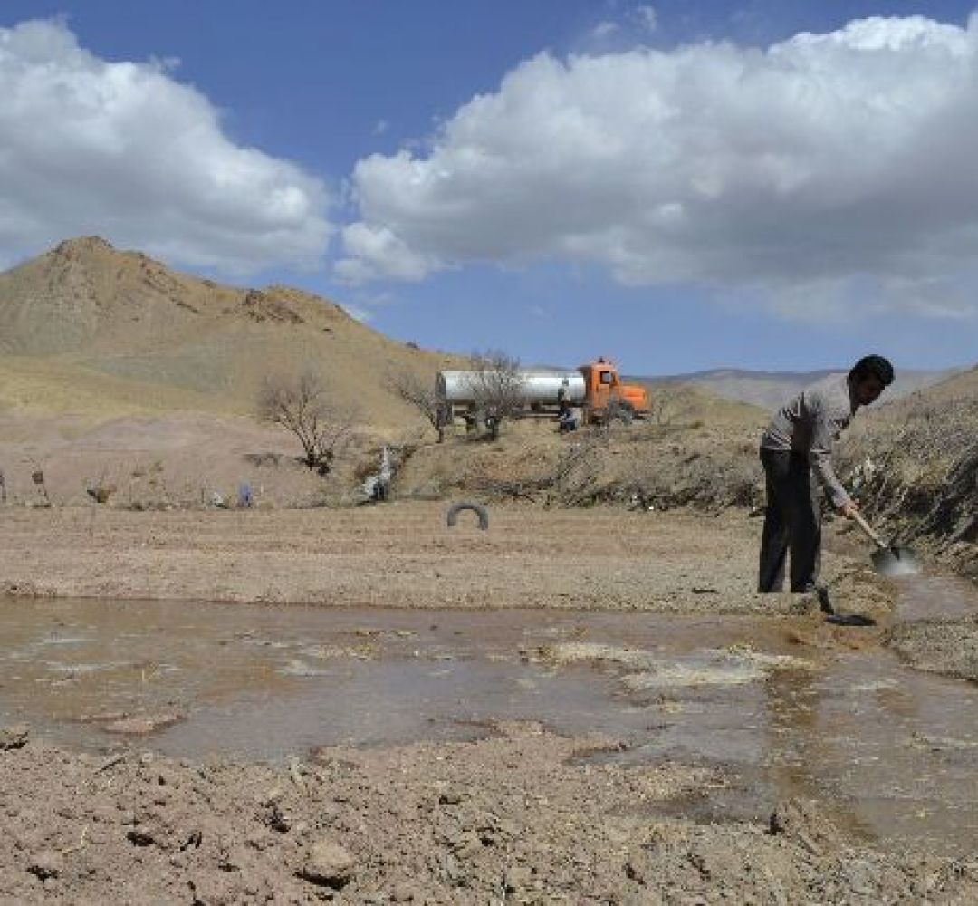 بسیج همگانی برای نجات طلای سرخ گناباد
