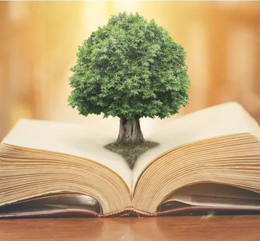 اگر مادر کتاب بخواند، خانواده کتابخوان می‌شود