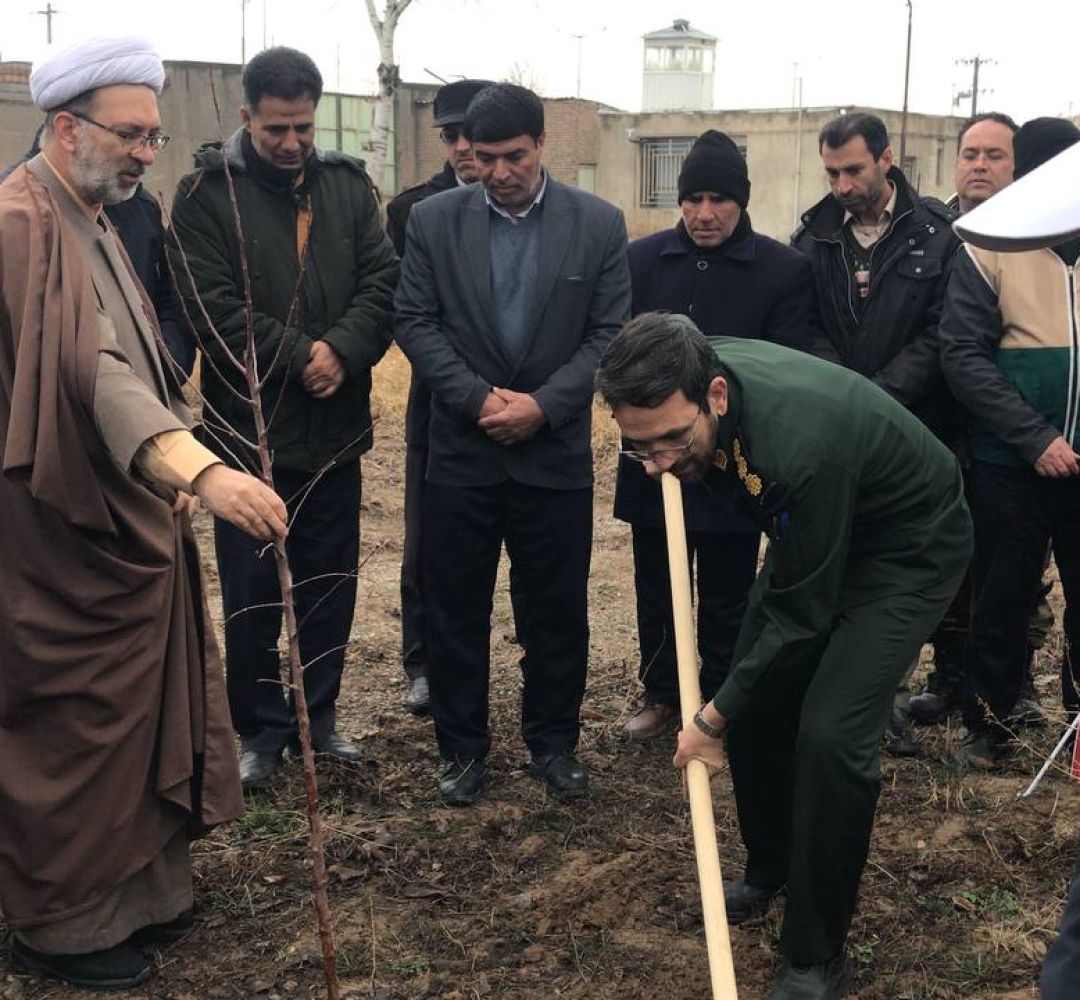 بسیجیان قوچانی بیش از 6 هزار نهال غرس میکنند