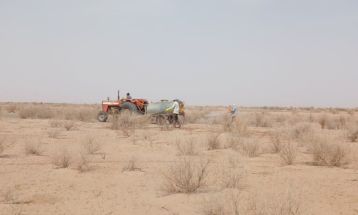 مبارزه گسترده با آفت ملخ کوهان‌دار در گناباد
