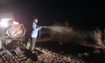 مبارزه گسترده با آفت ملخ کوهان‌دار در گناباد