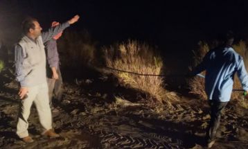 مبارزه گسترده با آفت ملخ کوهان‌دار در گناباد