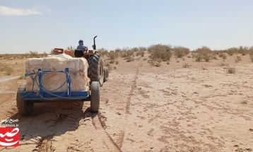 مبارزه گسترده با آفت ملخ کوهان‌دار در گناباد
