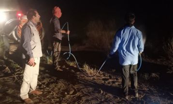 مبارزه گسترده با آفت ملخ کوهان‌دار در گناباد