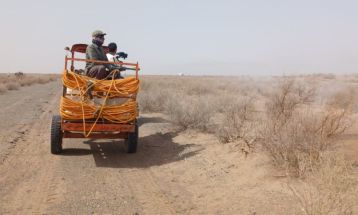مبارزه گسترده با آفت ملخ کوهان‌دار در گناباد