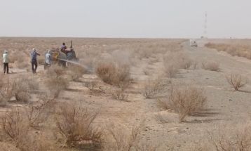 مبارزه گسترده با آفت ملخ کوهان‌دار در گناباد