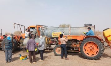 مبارزه گسترده با آفت ملخ کوهان‌دار در گناباد