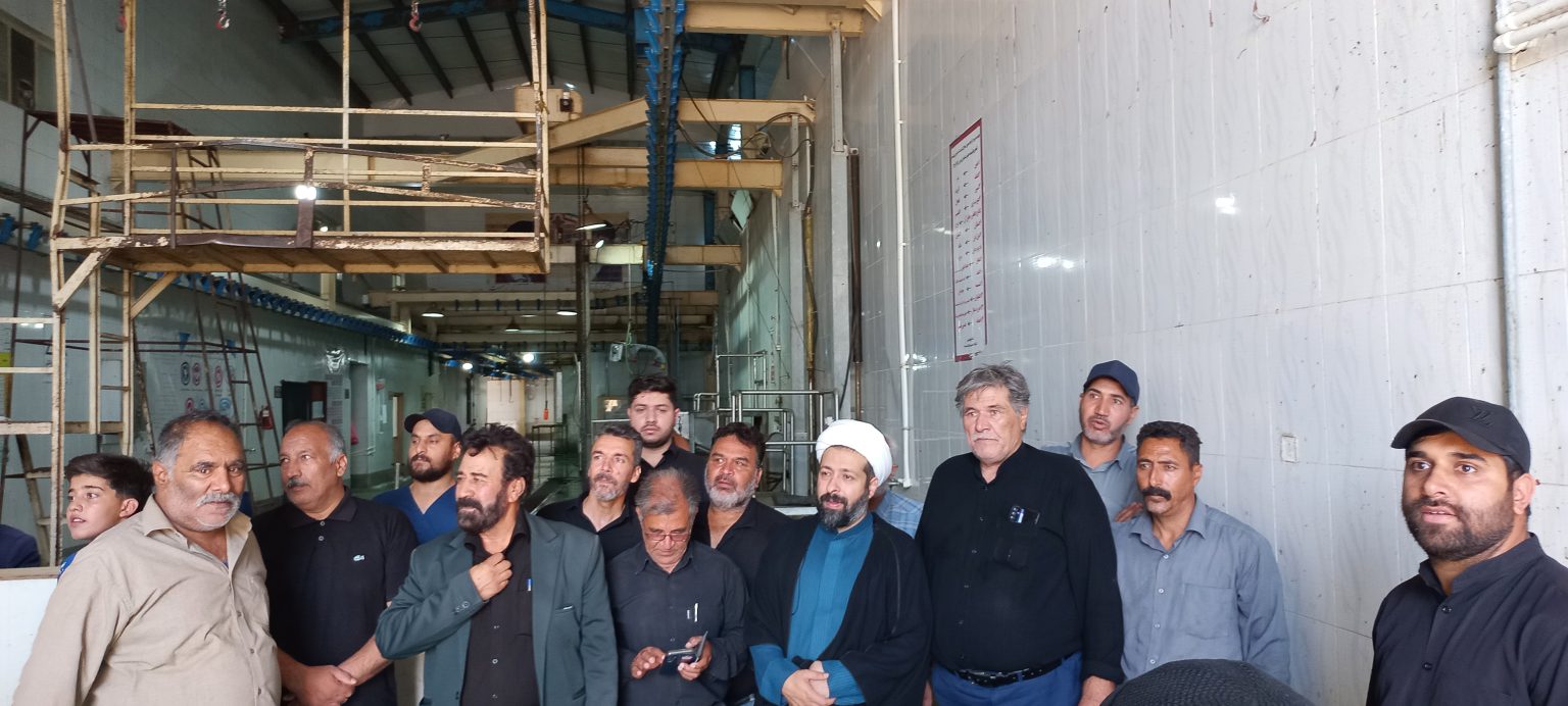 قربانی یک راس گاو توسط خیرین تربت‌جامی