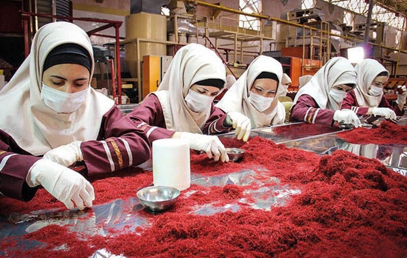 مافیای زعفران به‌دنبال کاهش قیمت است