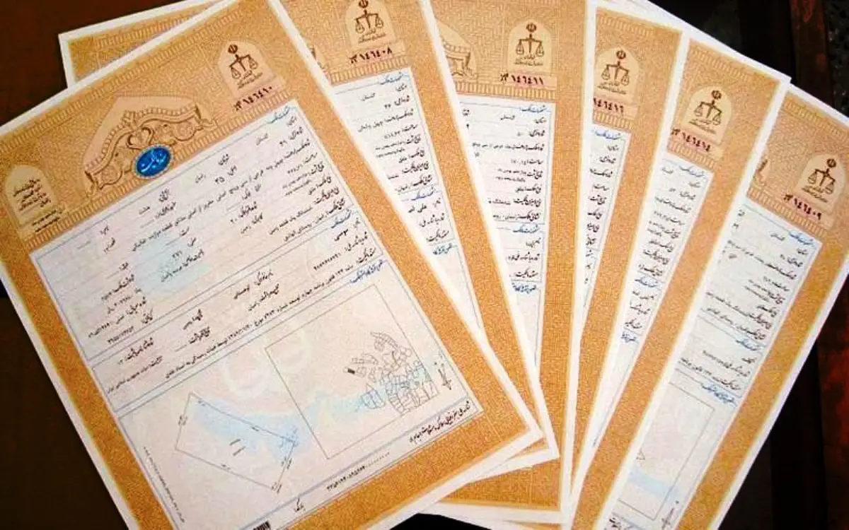 صدور سند مالکیت برای ۵۵ هزار هکتار اراضی کشاورزی در تربت‌جام