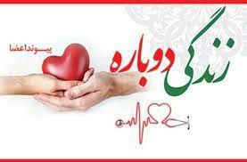 کسب مقام پنجم اهداء عضو کشور توسط دانشکده‌ علوم پزشکی تربت‌جام