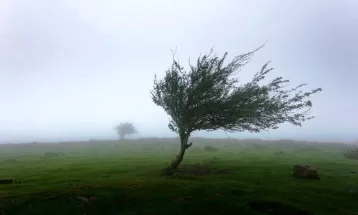 وزش باد در خراسان‌رضوی شدت می‌گیرد