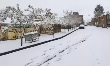 بارش بیش از 5 سانتی متر برف در کدکن