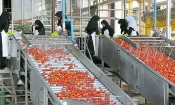 راه‌اندازی واحدهای جدید صنایع تبدیلی در قوچان