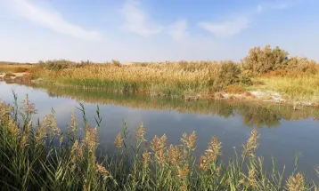 معادن سنگ آهن بلای جان محیط زیست خواف