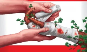 مشارکت ۲۶۰ میلیون تومانی بسیجیان تربت‌حیدریه برای کمک به لبنان