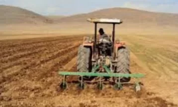 کشت قراردادی ۶۰۰ هکتار گندم در تربت‌حیدریه