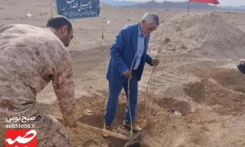 نهال‌کاری مسیر گلزار شهدای گمنام خواف
