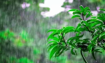 ثبت ۱۵.۸ میلی‌متر بارندگی در رشتخوار