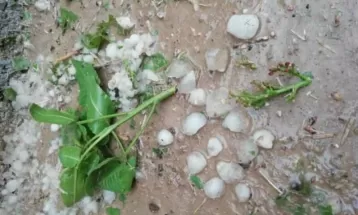خسارت ۵۸۰ میلیارد ریالی به باغات خلیل‌آباد