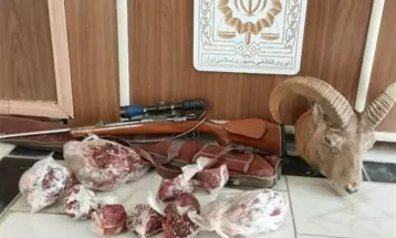 خسارت ۷۸ میلیارد ریالی به محیط زیست