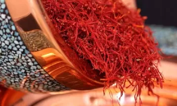 گیاهان دارویی، نسخه شفابخش اقتصاد خراسان رضوی است