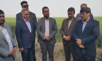 محور مشترک مشکلات صنایع تربت‌حیدریه نوع قرارداد آنهاست