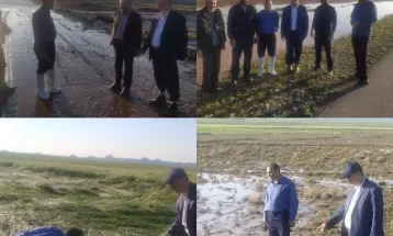 خسارت ۴۰۰ میلیاردی سیل به بخش کشاورزی تربت‌حیدریه