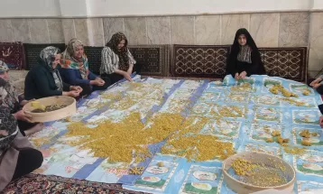 مسجد سنگر و مأمن بانوان جهادگر نیشابوری