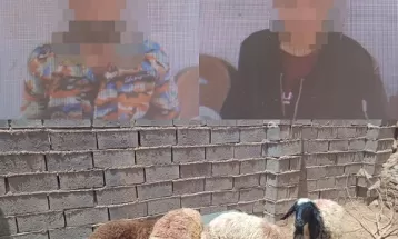 دستگیری ۲ متهم سرقت احشام در رشتخوار