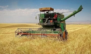 افزایش برداشت گندم در جلگه‌رخ تربت‌حیدریه