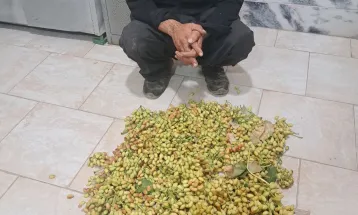 دستگیری متهم به سرقت باغات پسته در رشتخوار