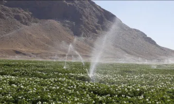 کمبود نقدینگی محوری‌ترین مشکل کشاورزان تربت‌حیدریه