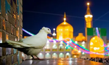 اکسیر دنیوی و اخروی زیارت امام رضا (ع)