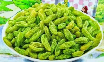 اختصاص اعتبار برای ساماندهی بازار کشمش خلیل‌آباد