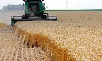 سرشماری عمومی کشاورزی؛ ابزاری برای بهبود در بهره‌وری