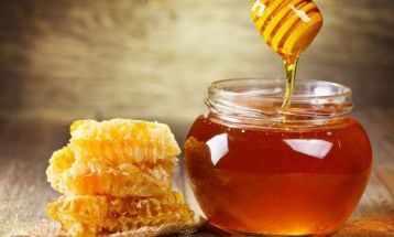 توقیف ۵۵ کیلوگرم عسل غیر بهداشتی در طرقبه‌شاندیز