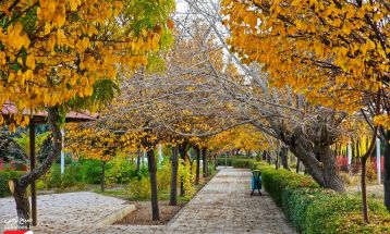 پاییزِ کاشمر؛ فصلِ مکث، رنگ و روایت