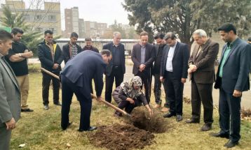 کاشت نهال در فرمانداری نیشابور به یاد شهدا